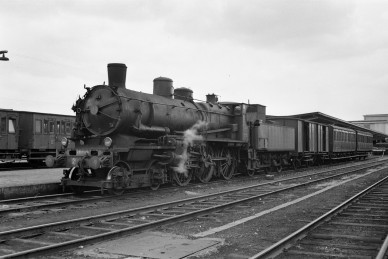 Mons - BD-3619.jpg